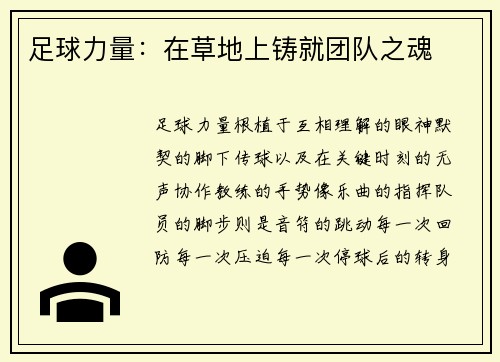 足球力量：在草地上铸就团队之魂