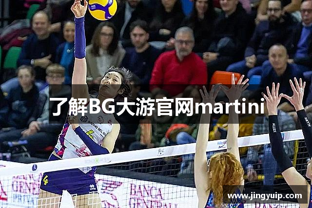 了解BG大游官网martini
